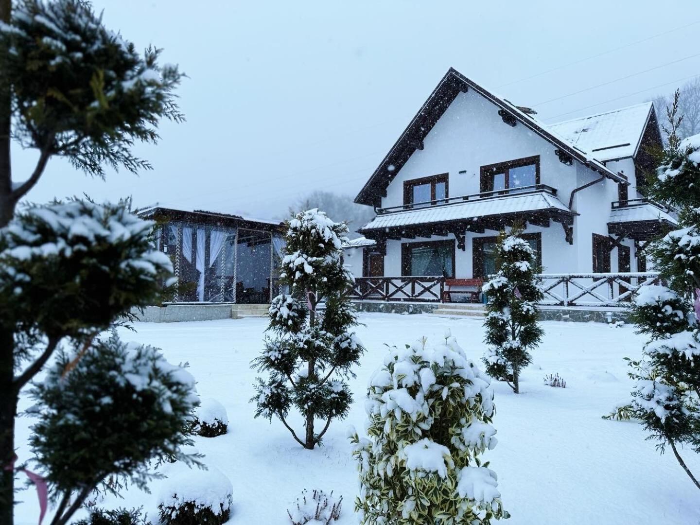 Casuta Doi Ponei Villa Buşteni Eksteriør billede